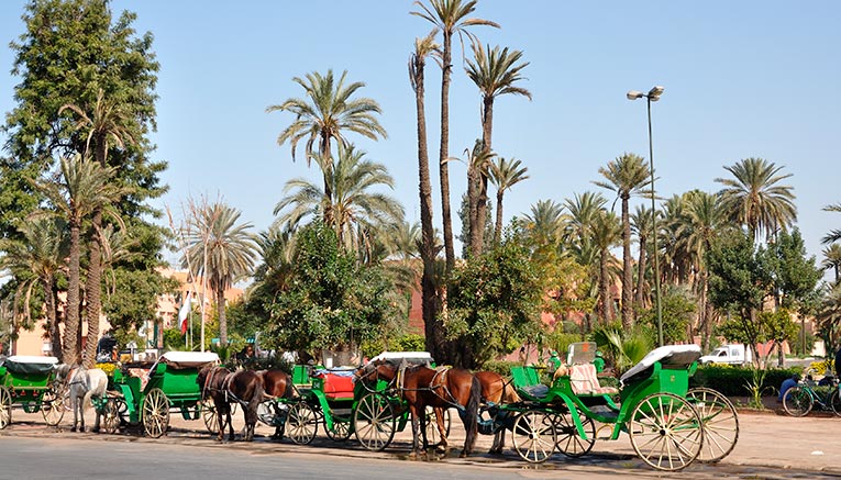 Mtmif-morocco-multisport-8